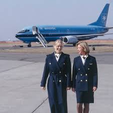 Image result for Tan 1964 Fleet