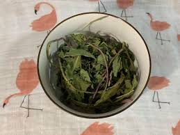 These little beauties are all over the place this time of year. Dried Dandelion Leaves For Hamsters Guinea Pigs Rabbits Free Mailing Pet Supplies Pet Food On Carousell