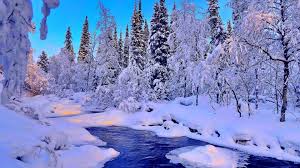 Posted by the mobile wallpaper on august 17, 2021 if you don't find the exact resolution you are looking for, then go for original or higher resolution which iphone, iphone 3g, iphone 3gs 320x480. Winter Themed Wallpaper 4k Kolpaper Awesome Free Hd Wallpapers