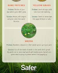 The grass cuttings work as natural lawn feed. Do It Yourself Organic Lawn Care