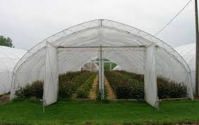 Cand se da subventia pe pamant 2015. SubvenÅ£ii Pentru Agricultorii Care CultivÄƒ Legume In Solarii Timispress Ro