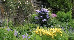 20 years designing indoor & outdoor home & garden accents. Best Tips For Growing Large Flowered Clematis Hayes Garden World