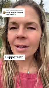 Replying to @junekayak puppy teeth when they dont fall out #puppyteeth  #puppyteethingproblems #dogteeth #puppyhealth #puppy