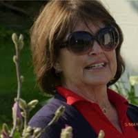 7 "Eve Storm" profiles