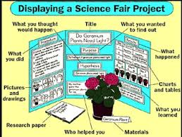 science project guide