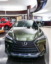 Image result for Nori Green 2023 UX