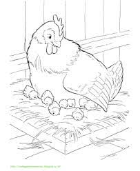 Gambar ayam bangkok jantan aduan coloring pages. Pin Di Gambar Paud