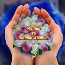 In arabic, ameen ya rabbal alamin is written as: 22 Aamiin Yaa Rabbal Alamin Ideas Good Morning Images Morning Images Islamic Images