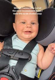 Skyler Goff (@skylergbackup)'s videos with Cute mischief, scheming (loop)