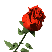 Check spelling or type a new query. Wow 27 Gambar Bunga Cantik Gif Gambar Bunga Hd