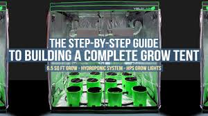 There is apparently two ways to reach the secret tower. Top 5 Complete Indoor Grow Packages Of 2019