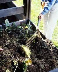 Are coffee grounds good for orange trees? Composting For A Vegetable Garden Howstuffworks
