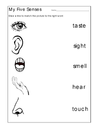Preschool Activity Sheets With Fun Exercises Five Senses Worksheet Free Kindergarten Worksheets Kindergarten Worksheets Printable