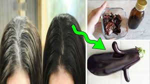 الله جعل لنا علاج الشعر الابيض في هذا المخلوق اوقف العالم مندهشا Youtube Long Hair Styles Beauty Hacks Hair Styles