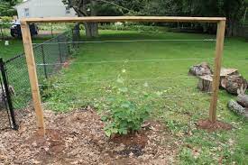 Maybe you would like to learn more about one of these? Building A Diy Wire Trellis