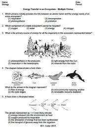 Worksheet Energy Transfer In An Ecosystem Mc Editable Energy Transfer Ecosystems Energy