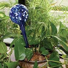 Amazon Com Aqua Globes Ag011706 Glass Plant Watering Bulbs 2 Pack Patio Lawn Garden Plant Watering Bulbs Watering Bulbs Planting Bulbs