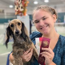 Our first show day in Pennsylvania is in the books. Thank you to judge  Robert Hutton. Dani: WB for 2 points Kiwi: BOS and BOBOH for a 3 point  Major BunBun: SEL