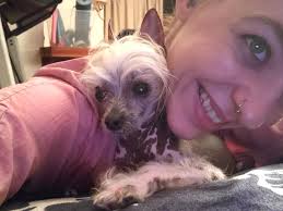 Meet my pet challenge: Follow me