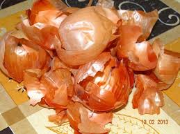 какой способ размножения используют при выращивании картофеля и лука Lukovaya Sheluha Dlya Ogurcov Sadovye Markery Ovoshnoj Ogorod Ogorod