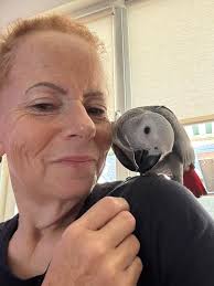 Hi, this is me and my AG named Jet❤️. She is so sweet and playful. We are  from Holland.