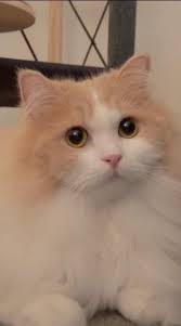 We did not find results for: 1 Jarak Rumah Paman Beni Ke Tugu Khatulistiwa 24 300 Cm Jarak Tugu Khatulistiwa Menuju Tenda Brainly Co Id