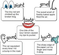 Imagery Through Metaphors Predator Poetry Elements Teaching Writing Sensory Language