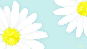 We did not find results for: Hintergrund Fur Kalender April Mai Desktop Hintergrund 1643x924 Wallpapertip