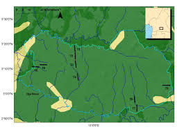 Image result for Strephonema mannii