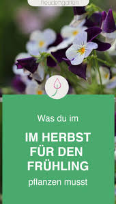 Was Du Im Herbst Fur Einen Zauberhaften Fruhlingsgarten Pflanzen Solltest In 2020 Pflanzen Blumenzwiebeln Pflanzen Garten