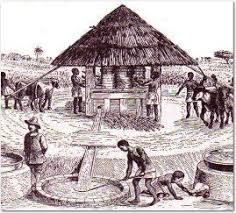 Image Result For Puerto Rico Trapiche Puerto Rico History Puerto Rico Taino Indians