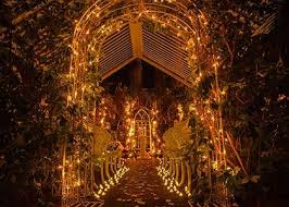 Las Vegas Weddings Feel Like A Princess Fairytale Las Vegas Wedding Las Vegas Wedding Chapel Vegas Wedding Las Vegas Weddings