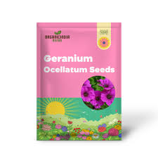 Image result for Geranium ocellatum