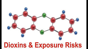 On chlorinated dioxins and related compounds. Dioxins Exposure Risks Youtube