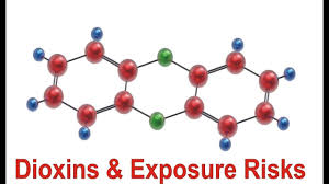 They can also disrupt hormones and. Dioxins Exposure Risks Youtube