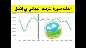 إضافة صورة للرسم البياني في إكسل In 2020 Pie Chart Map Chart