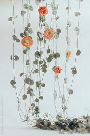 Pin On Photography Floral
