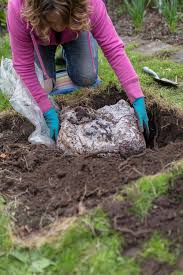 Essbare Pilze Im Garten Zchten So Legt Man Ein Pilz Beet Im Garten An In 2020 Anole Cyclops X Men Avengers Alliance