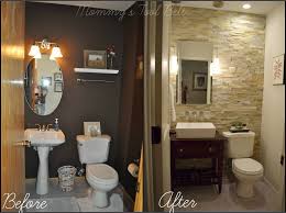 Half Bath Renovation Half Bath Remodel Small Half Baths Bath Renovation
