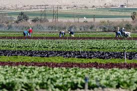 New class of tech hubs: Biden Bill S Aid To Minority Farmers Spotlights Post Trump Pivot Bloomberg