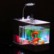 Kami dari aquafishku dapat membuat beberapa aquarium unik, seperti aquarium tempat tidur, aquarium meja kerja, dan aquarium wastafel. Aquarium Mini Fish Tank With Running Water Aquarium Ikan Cupang Aqurium Mini Full Set Aquarium Kaca Aquarimu Mini Portable Aquarium Unik Keren Aquarium Mini Usb Led Lazada Indonesia