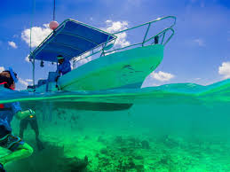 The Ultimate Snorkeling Guide: A Beginners Encyclopedia - MANTA SCUBA