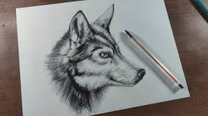 Then, draw another circle overlapping the oval for the wolf's head. How To Draw A Wolf Step By Step For Beginners With Pencil Easy Youtube