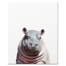 What is the easiest animal to draw? Baby Animal Wall Art Pictures For Kids Bedroom Decoration Printed On Canvas Canvaspaintart