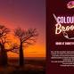Colours of Broome Paint & Sip, Step by Step Art event image