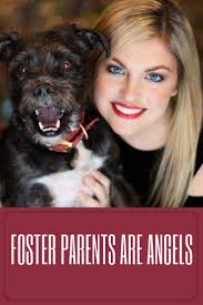 Foster Parents Are Angels Easiest Dogs To Train Training Your Dog Pet Dogs