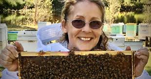 Varroa mite-resistant bee breeding could be the key to resisting the deadly  pest