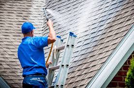Roof Cleaning In Saint Cloud Fl Roof Soft Washing Service