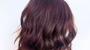 Get the look at home with the l'oréal paris féria in rich mahogany. 50 Burgundy Hair Colors To Copy In 2021