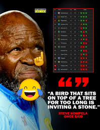 Cockatiel Bird and Its Lifespan Discussion